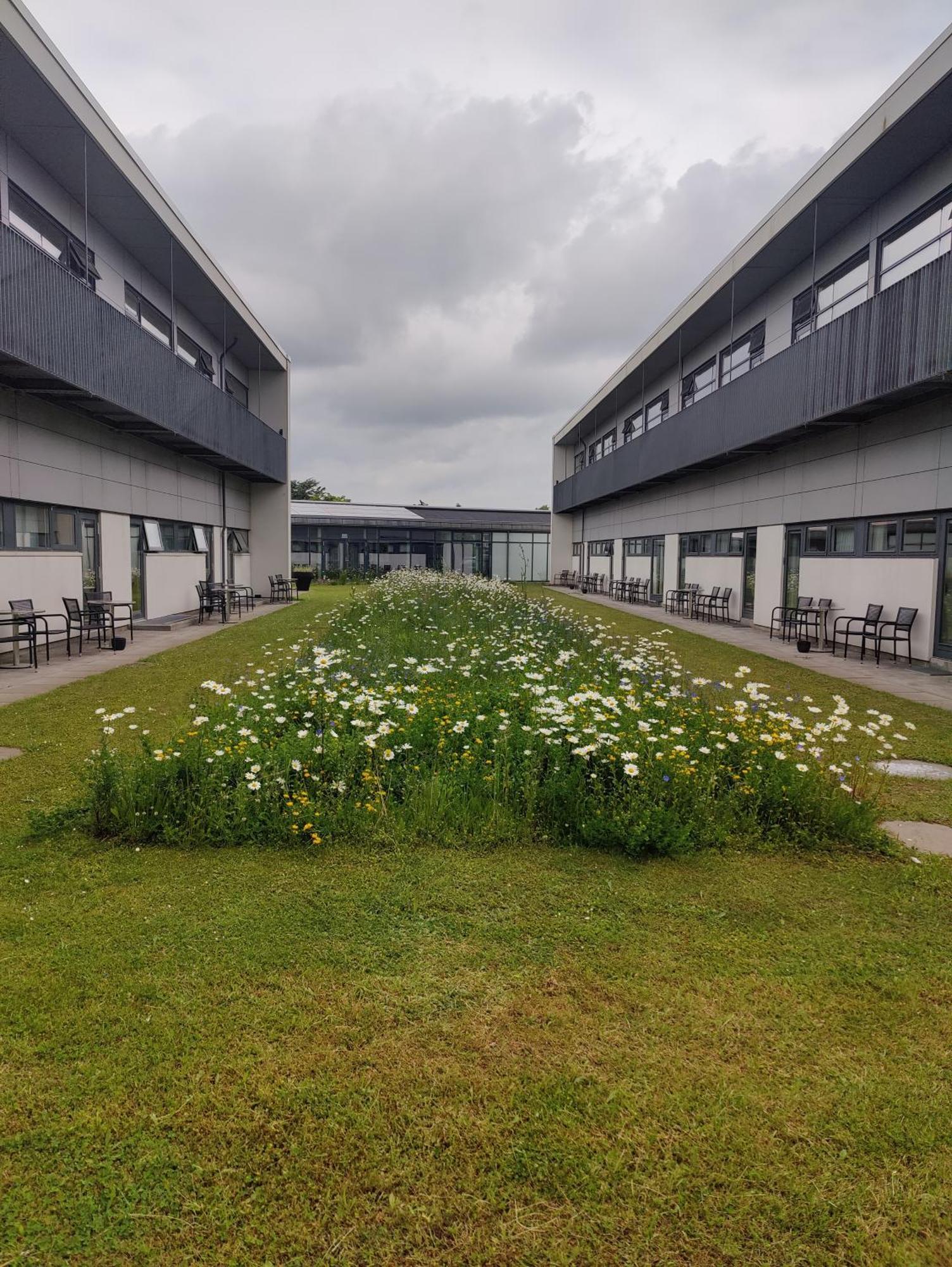 Storebaelt Sinatur Hotel & Konference Nyborg Zewnętrze zdjęcie