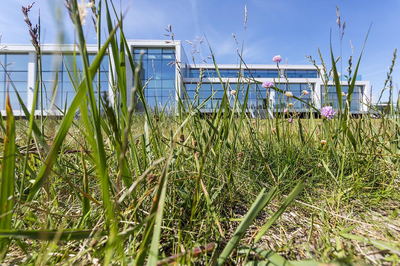Storebaelt Sinatur Hotel & Konference Nyborg Zewnętrze zdjęcie